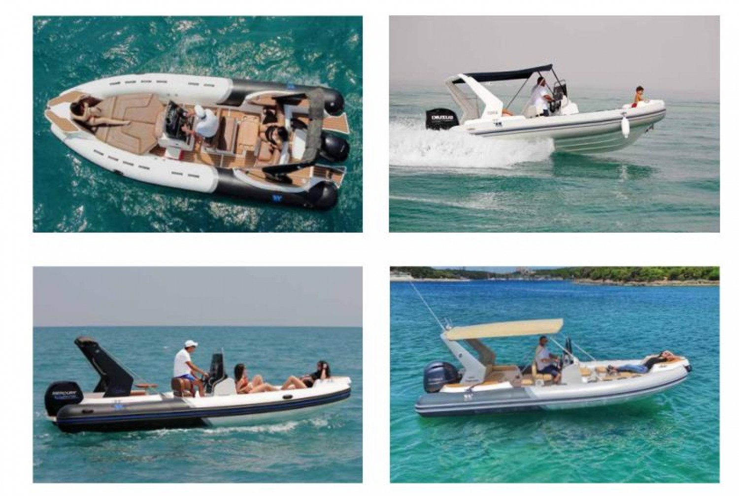 slider 1 Tiger Marine Top Line 650